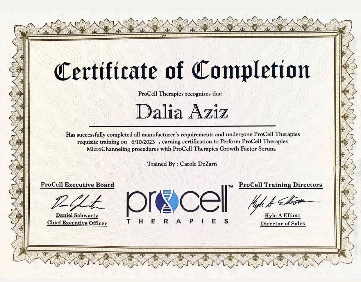 Professional certification awarded to Dalia Aziz